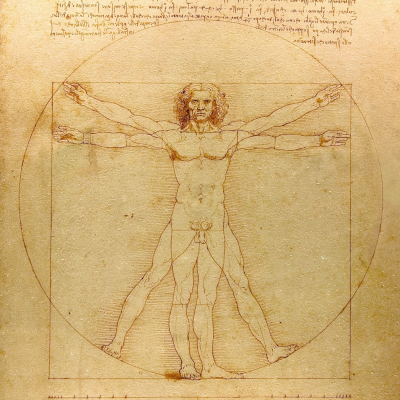 Homo Vitruvianus - The Renaissance Polymath