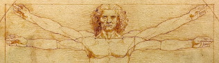 Homo Vitruvianus - The Renaissance Polymath
